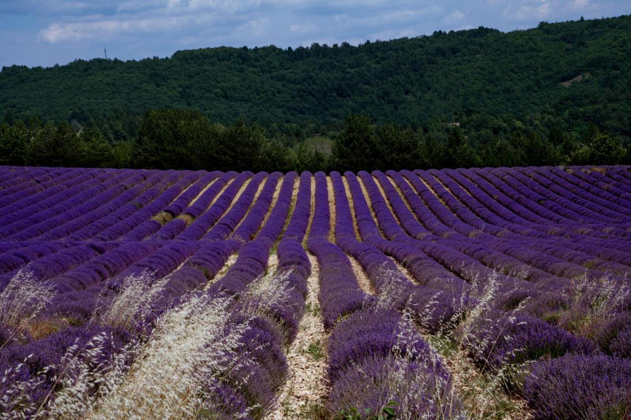Gite La Bastide De La Loge Au Pied Du Mont Ventoux Со-де-Воклюз Екстер'єр фото